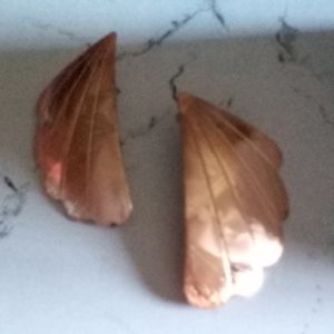 🆓 FWP Peachy/Pink Color Pierce Earrings